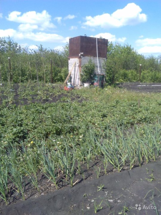 Сайт тракторосада 3. Тракторосад 4 Челябинск. Тракторосад 2 вид сверху. СНТ Чурилова. Тракторосад отжим сока, номер телефона.