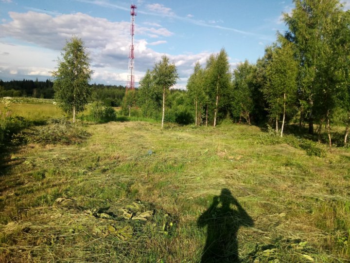 Погода сычево волоколамский на 14 дней. Деревня танково Волоколамский район. Сычёво (Волоколамский район). Гряды Волоколамский район.