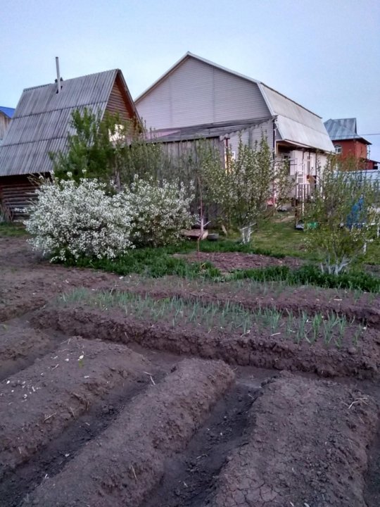 Продажа домов в онохино тюменском районе с фото свежие объявления