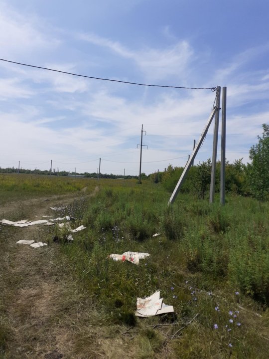 Погода дубовый умет самарская область. Дубовый Умет Самарская область озера. Дубовый Умет Самарская область Радон. Карпятник дубовый Умет. Дубовый Умет Самарская область экология.