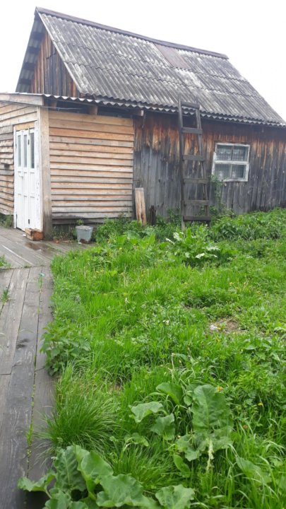 Погода верховино тугулымский 10 дней
