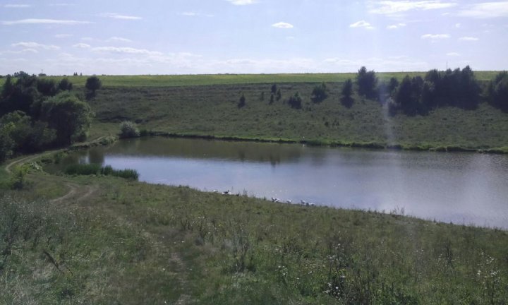 Пруд чистополье белгородская область рыбалка карта