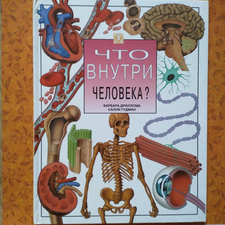 Внутрь человека. Книга что внутри человека для детей. Книжка с внутренностями человека. Человек изнутри книга.