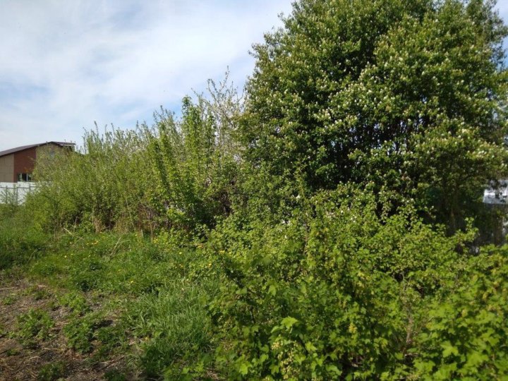 Агро-пустынь, рязанский р-н, рязанская обл. Село агропустынь рязанской области улица демьяна бедного. Село ершово клепиковский район рязанская область. Коростово московская область. Ижс рязань.