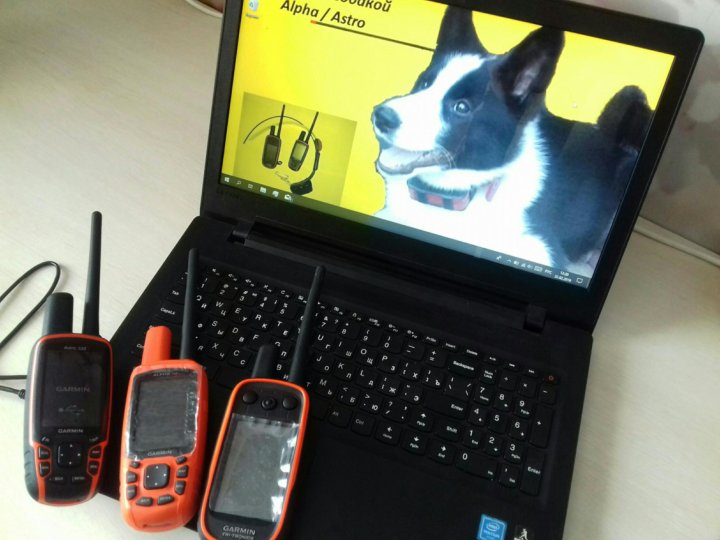 дополнительная антенна на гармин 64 ст. антенна для garmin alpha 100. Garmin astro 320. гармин альфа 50. навигатор гармин альфа 50.