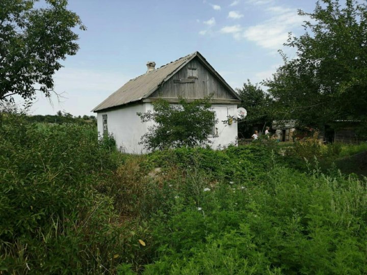 Погода хутор октябрьский. Хутор Привольный Краснодарский край. Хутор Привольный Ростовская область. Хутор Привольный Ростовская область Октябрьский. Хутор Привольный Ростовская область Пролетарский.