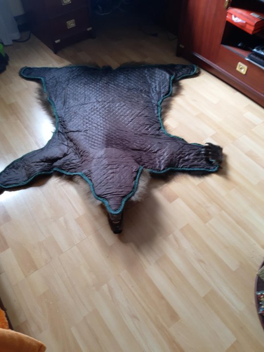 Шкура медведя искусственная – купить в Москве, цена 50 000 руб., дата ...