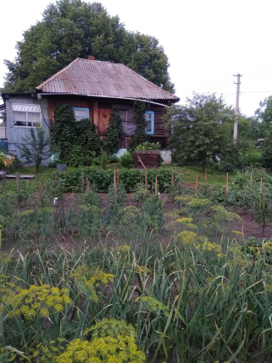 Апанас новокузнецкий. Апанас Кемеровская область. Деревня Апанасе Новокузнецк.