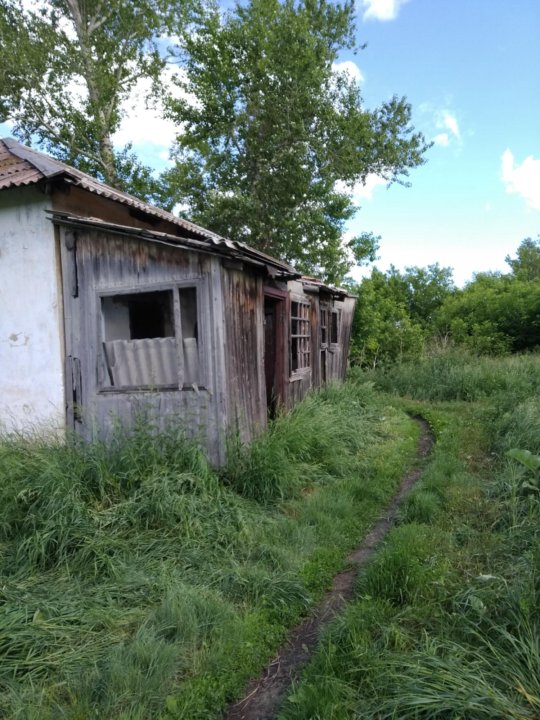 Погода арбузовка алтайский край