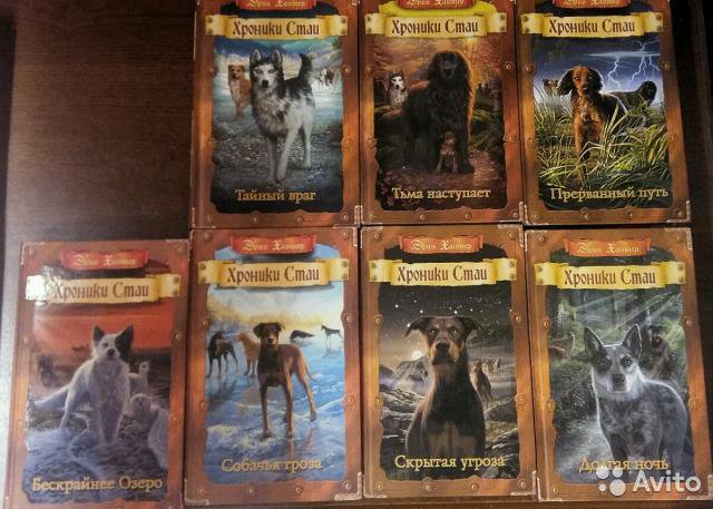 хроники стат. хроники стаи счастливчик и альфа. хроники стаи счастливчик и альфа. хроники стаи эрин хантер книга. эрин хантер хроники стаи арт.