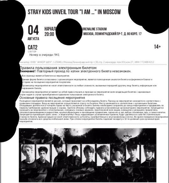 Stray kids купить билет на концерт 2024. Билет на концерт Stray Kids. Stray Kids концерт в Москве. Билет на концерт в Москву СТРЕЙ Кидз. Билет на концерт стрейкидс.