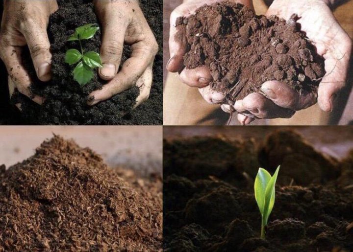 Полезный навоз. Удобрение органическое. Удобрение почвы. Органические удобрения для почвы. Торф удобрение.