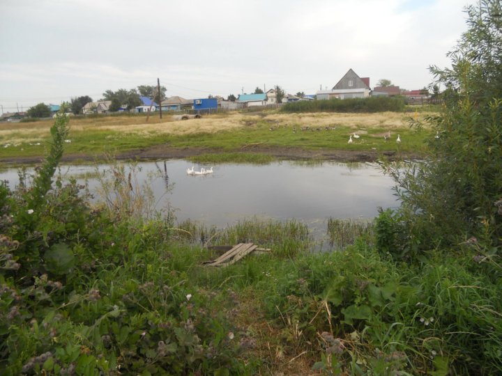 Куплю Дом В Чулыме С Фото