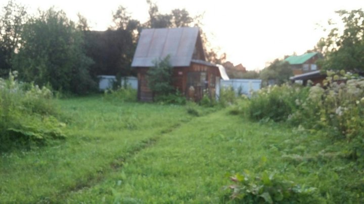 Снт тополь новосибирск. СНТ Тополь Чита.