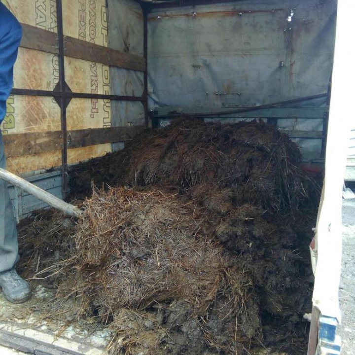 К чему снится убирать навоз. Подстилочный навоз. Побочные продукты животноводства навоз. Сарай с навозом. Навоз конский коровий.