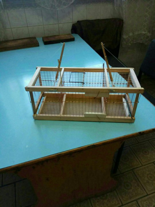 Западок для ловли птиц чертеж