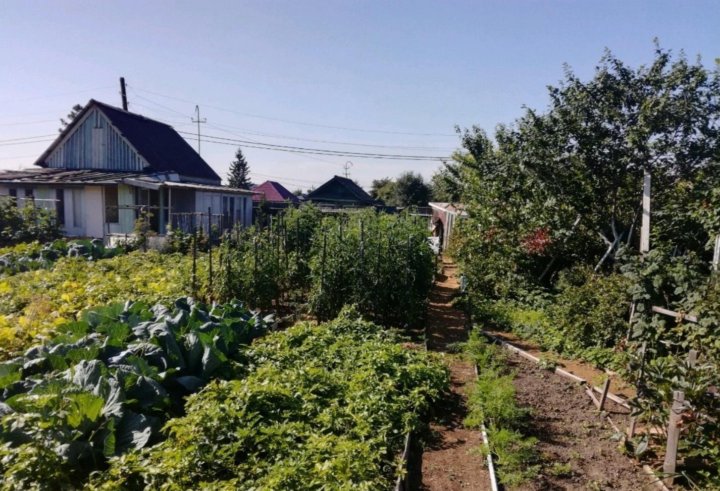 Купить дачи фото абакан