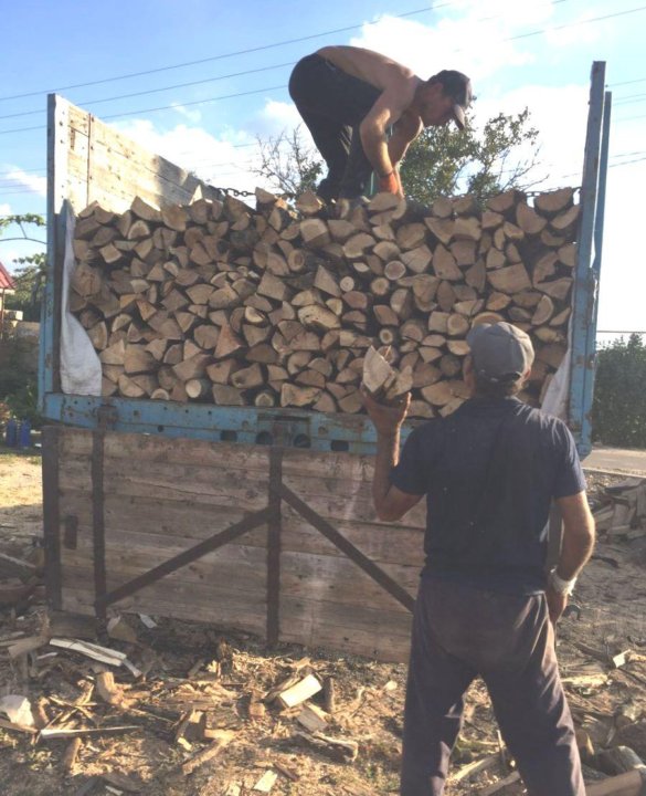 Купить дрова оренбург. Вывоз дров на дачу. Штраф за незаконную вывозку дров.