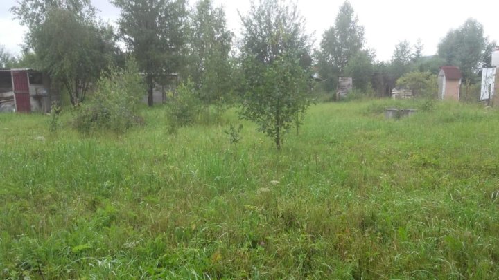 План снт березка