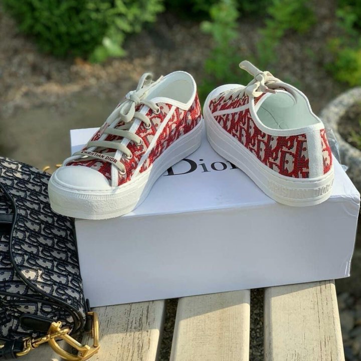 Converse x Dior