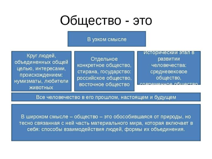 Какое понятие объединяет представленные ниже рисунки обществознание