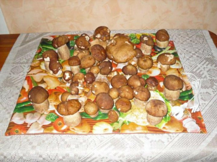 Магазин Самобранка Киров