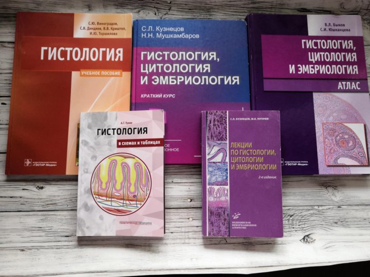 Гистология учебник. Атлас гистология Кузнецов Мушкамбаров. Гистология Мушкамбаров 2016. Гистология книга.