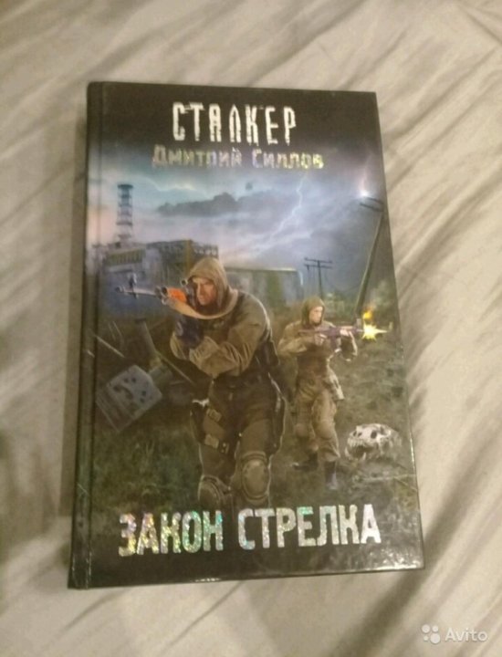 Сталкер хозяин янтаря. Книга Stalker аномальные каникулы. Книга сталкер Золотая сфера.