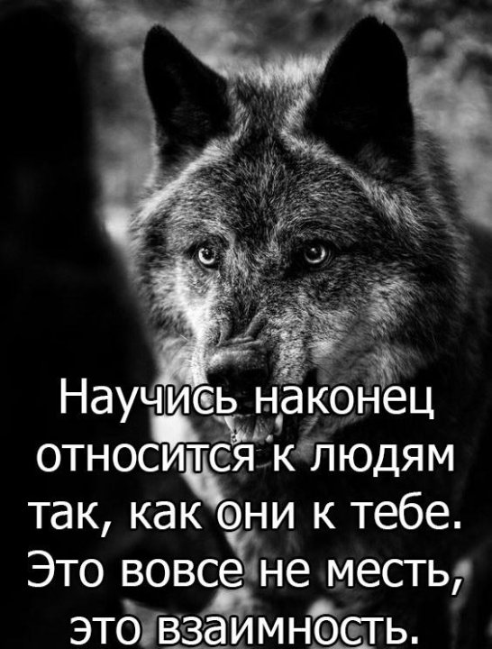 А так ко. Относитесь к людям так как они относятся к вам. это не месть это взаимность. относись к людям. относись к людям так как они отно.