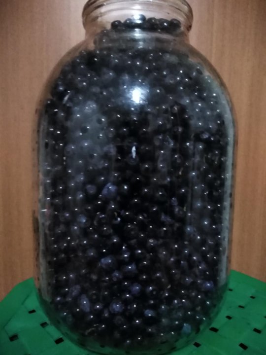 В 3 литровой банке сколько кг черники. Черника 10 литров. В 3 литровой банке сколько кг черники. В 3 литровой банке сколько кг черники. В 3 литровой банке сколько кг черники.