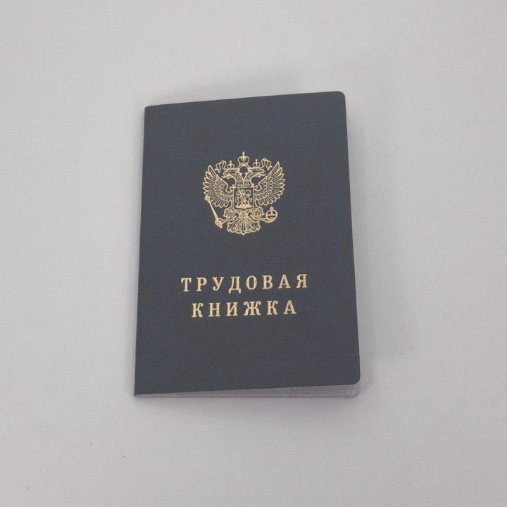 Тк книжка. Трудовая книжка ТК 5. Трудовая книжка ТК 4. ТК-IV. Трудовая книжка ТК 9031612.