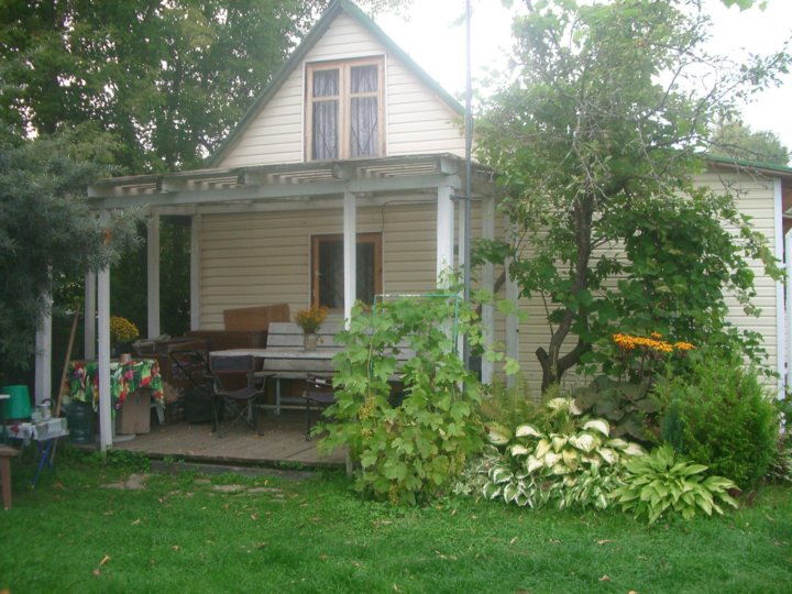 Ижс. Алексино московская область. Алексино дачи. Алексино дачи. Алексино дачи.