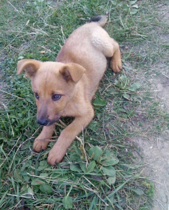 2. Рацион и питание