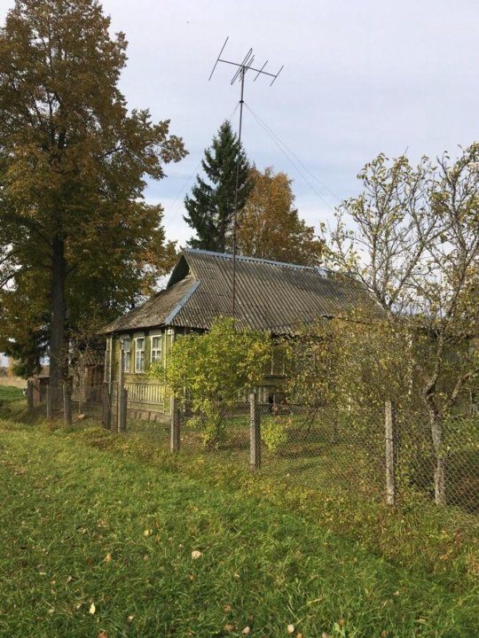 деревни волотовского района новгородской области. деревня оболицко. куклино новгородская область. авито сольцы новгородской. шапково солецкого района.