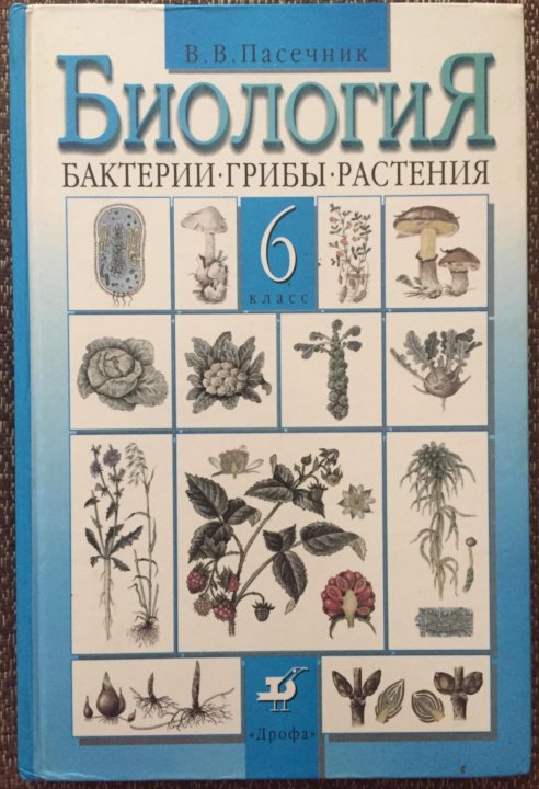 Пасечник учебник. Биология 6 класс. Бактерии, грибы, растения. Пасечник. Книга биология 6 класс Пасечник. Биология. 6 Класс. Учебник. Учебник по биологии 6 класс.