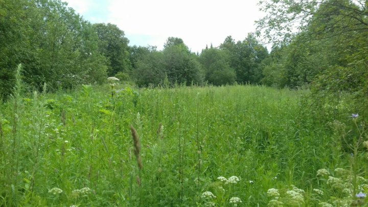 Погода мокино кировская. Фото д.с Белобородово Нытвенский округ.