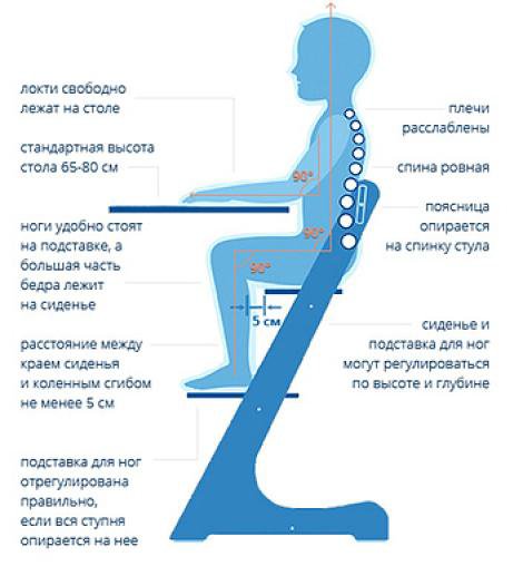 Растущий стул как правильно отрегулировать