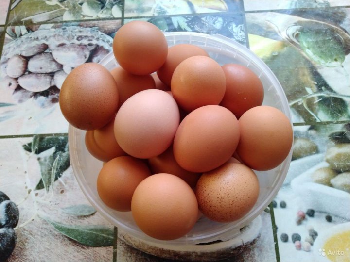 Купить яйца иркутск. Сколько стоит 10 яиц домашних Иркутск.