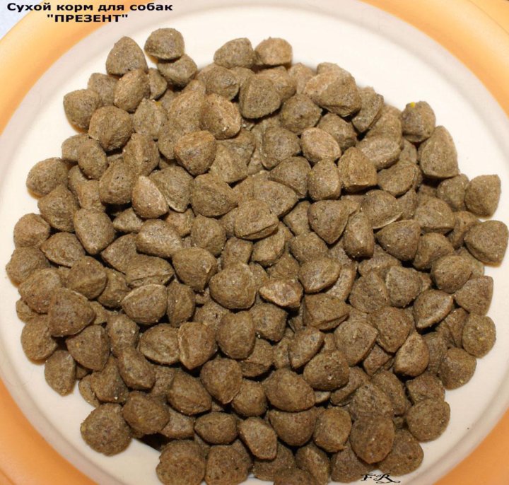 позаботьтесь о моей собаке. корм презент. корм презент. корм для собак презент состав. корм презент для собак саратов отзывы.