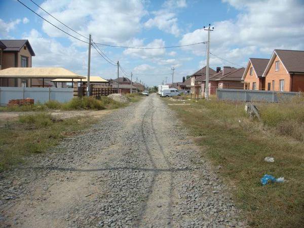 Камышеваха таймырская. Кп южный камышеваха. Камышеваха таймырская. Поселок камышеваха ростов. Камышеваха таймырская.