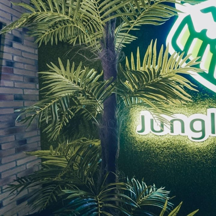 Jungle ул 1 мая 95а фото