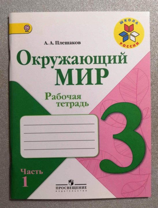 Рабочая тетрадь 13. Писать детям в тетрадь окружающий мир.