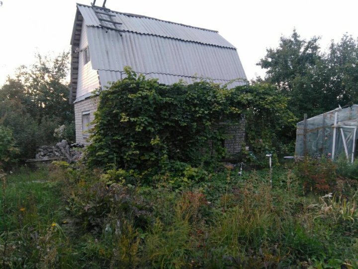 Снт пенза карта. СНТ гудок Пенза. Дачи в Пензе СНТ Заря-1. СНТ сияние Пенза. СНТ сигнал Пыркино.