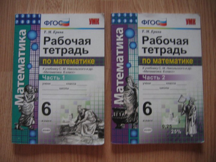 Рабочая тетрадь по математике 6 класс ерина. Ерина рабочая тетрадь. Рабочая тетрадь по математике 6 класс. Рабочая тетрадь по математике 6 класс Никольский. Математика 6 класс рабочая тетрадь Ерина.