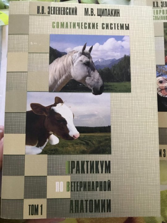 Анатомия и физиология зеленевский. Учебник по анатомии животных Зеленевский. Зеленевский анатомия и физиология животных. Учебник ПАТ Анат ветеринарный.