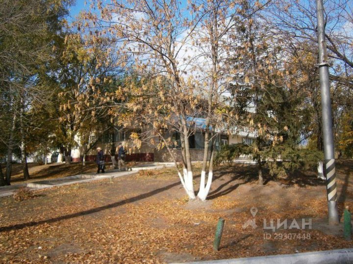 Аллея на площади Дружбы