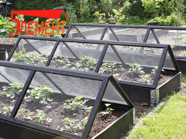 Современные высокие грядки. Грядка для клубники многоярусная пирамида. Ярусные грядки. Парник в огороде. Высокие деревянные грядки.