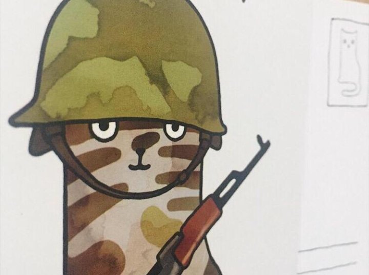 Нарисовать военного кота