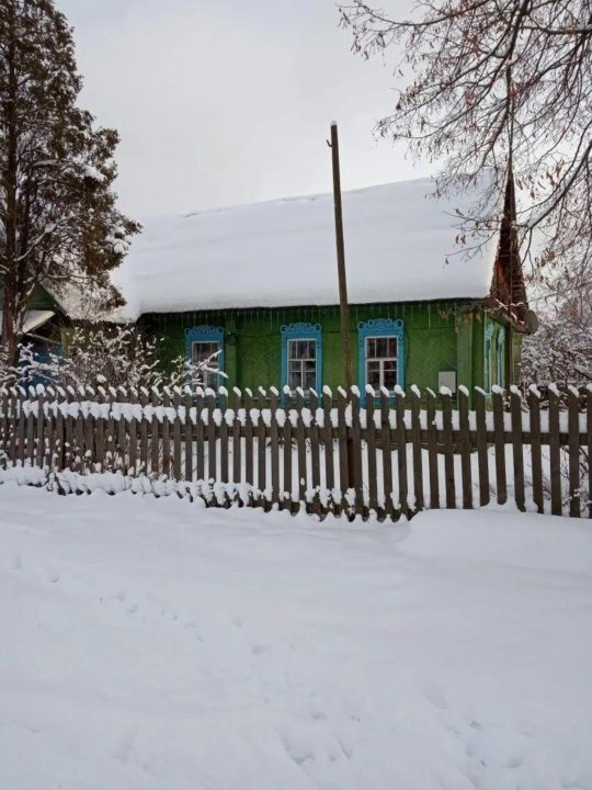 Ржаница брянская область фото