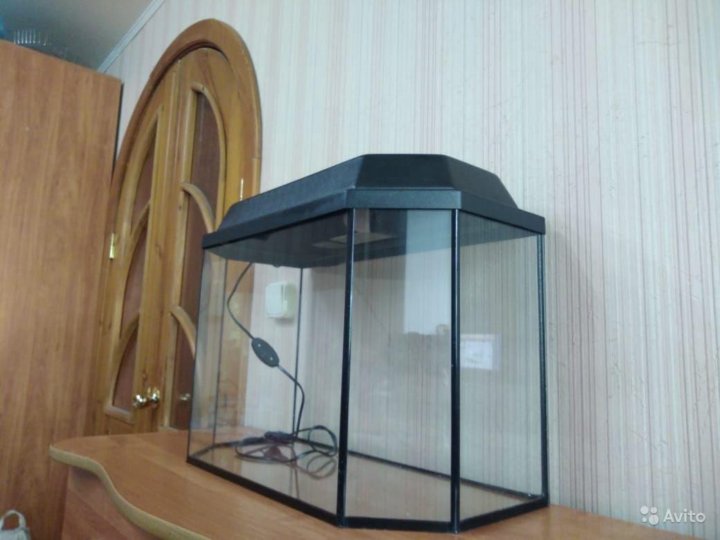 Магазин Аквариум Чита Сайт